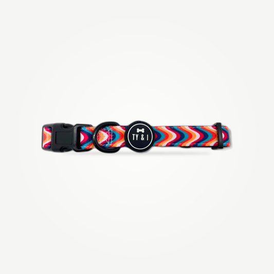 Groovy Baby - Collar