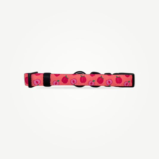 Just Peachy - Collar