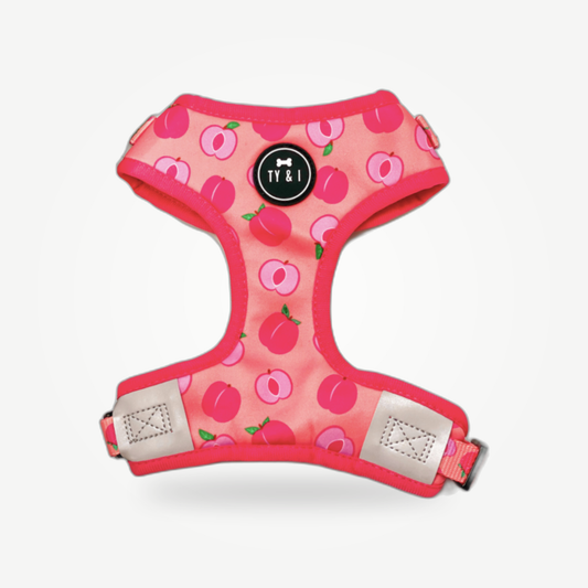 Just Peachy - Adjustable Harness