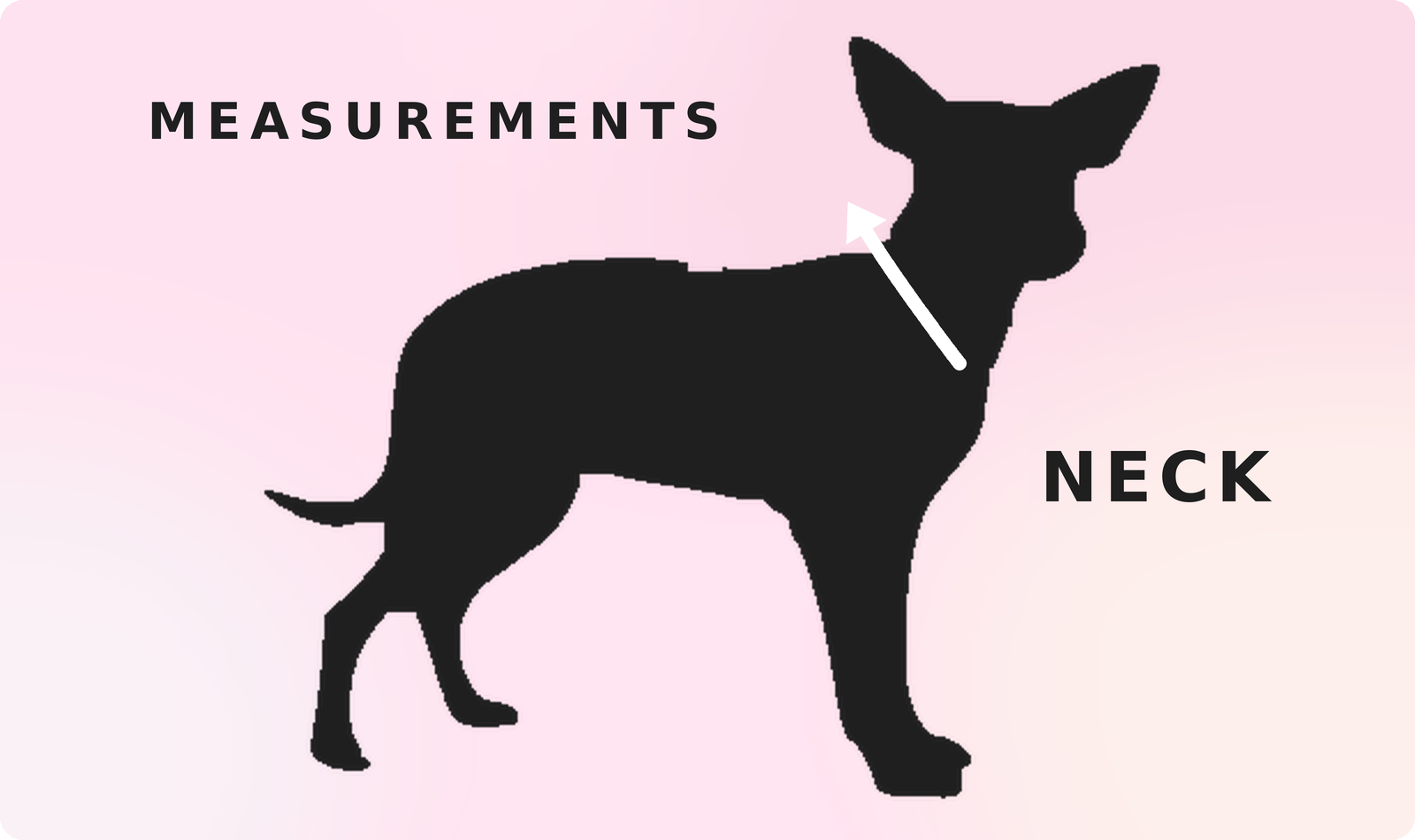 How to measure your dog’s neck for a Ty & I bandana