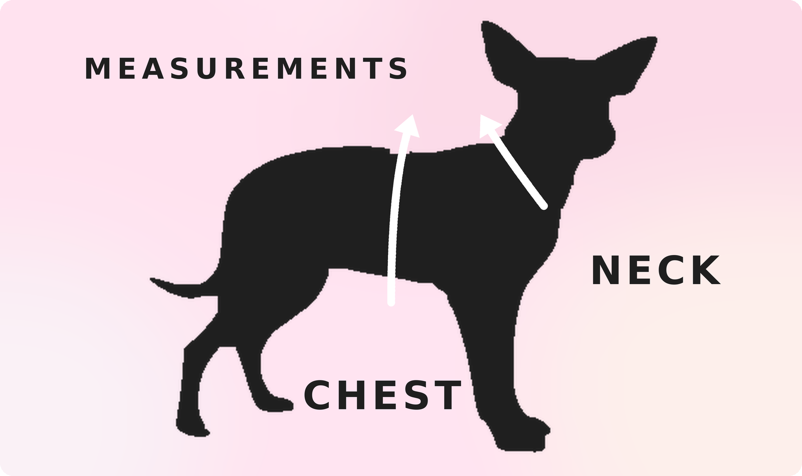 How to measure your dog’s neck and chest for a Ty & I harness