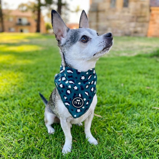 Wild Thing - Bandana